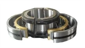Z-548795.ZL lieriörullalaakerit